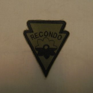 US Army Patch : 9th Inf. Div. - Recondo - Sub.